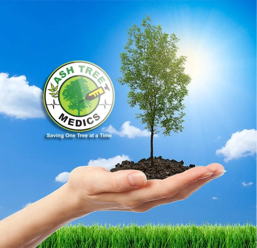 Trusted outdoor landscaping in Rochester, NY - M.J. Cullen Tree & Turf Care