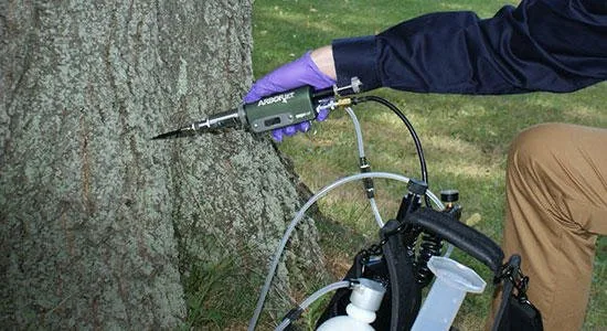 Expert lawn mowing service experts serving Rochester, NY - M.J. Cullen Tree & Turf Care