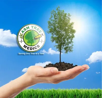 M.J. Cullen Tree & Turf Care Logo