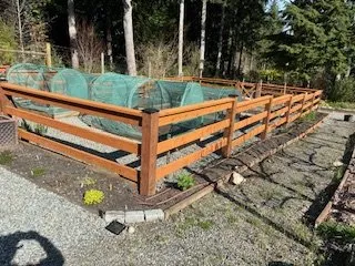 Local outdoor landscaping in Suquamish, WA by MJ Details
