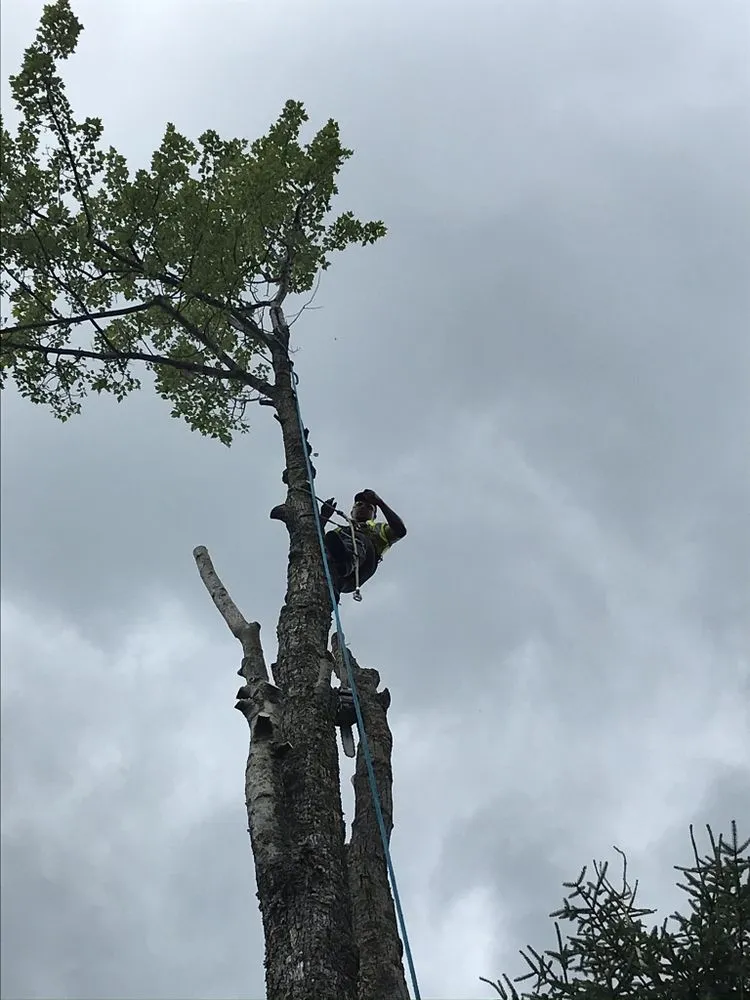 Affordable yard maintenance in East Stroudsburg, PA by M&J General Contracting