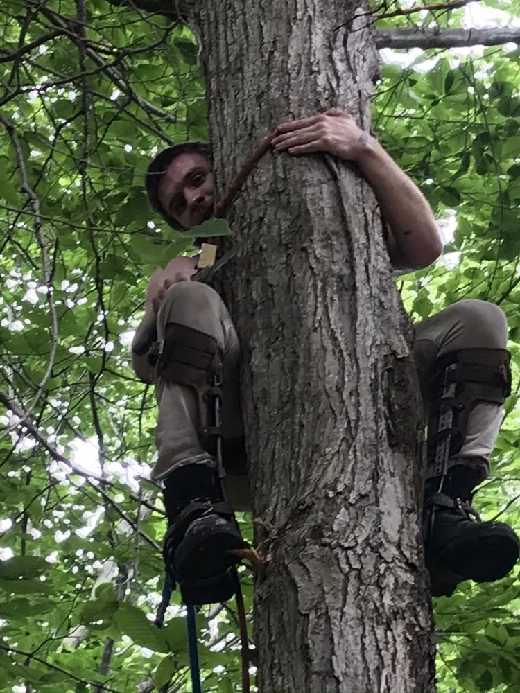 Top-rated landscaping services experts serving East Stroudsburg, PA - M&J General Contracting