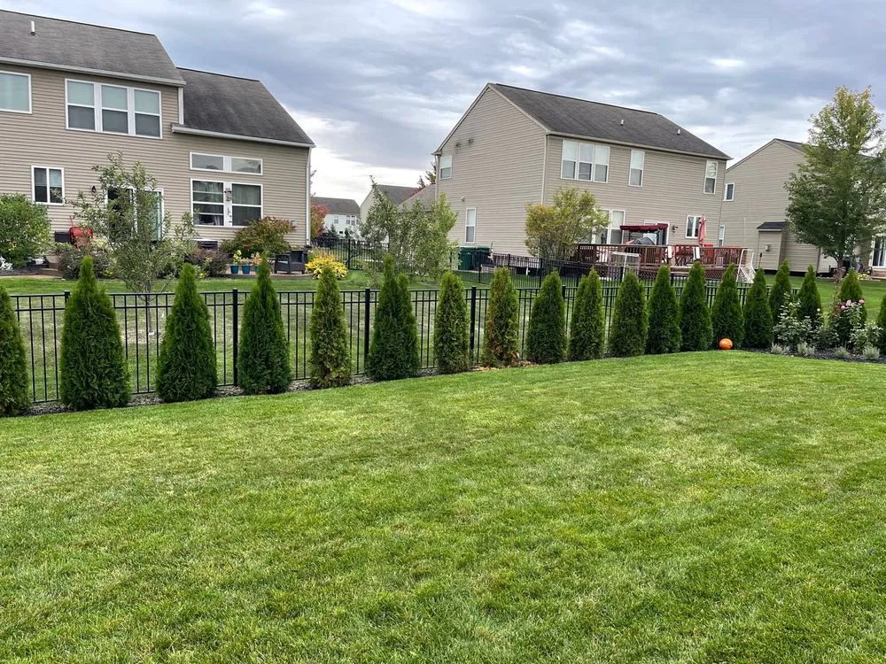 Affordable lawn care service with custom design in Washington, MI by MJ Golden Landscape