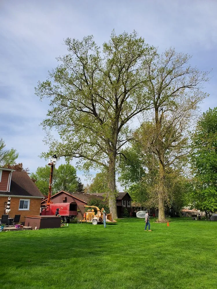 Affordable lawn mowing service for homes across Washington, MI - MJ Golden Landscape
