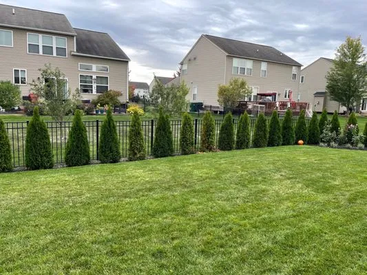 MJ Golden Landscape Logo