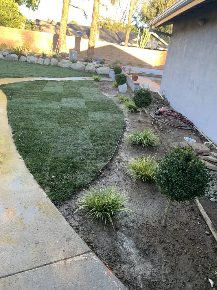 Reliable residential landscaping for outdoor upgrades across Los Angeles, CA - M&J Greenery Landscaping