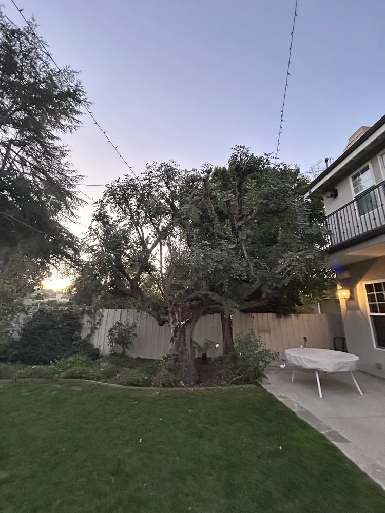 Trusted residential landscaping in Los Angeles, CA - M&J Greenery Landscaping