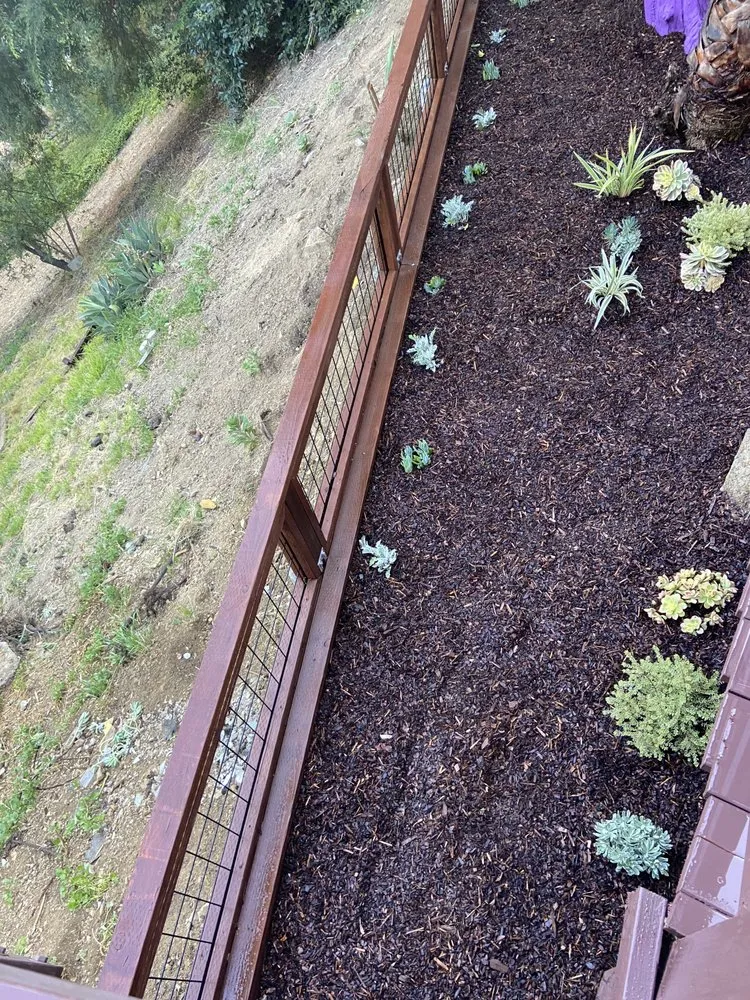 Professional landscaping services for outdoor upgrades in Los Angeles, CA by M&J Greenery Landscaping