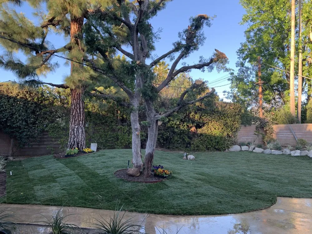 Affordable outdoor landscaping for homes in Los Angeles, CA by M&J Greenery Landscaping