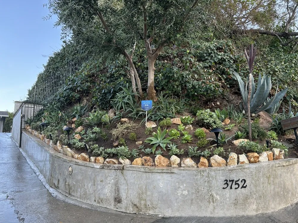 Affordable outdoor landscaping for homes across Los Angeles, CA - M&J Greenery Landscaping