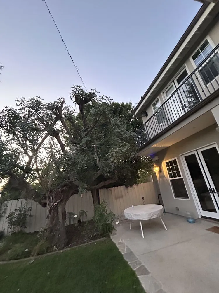 Top-rated yard maintenance experts serving Los Angeles, CA - M&J Greenery Landscaping