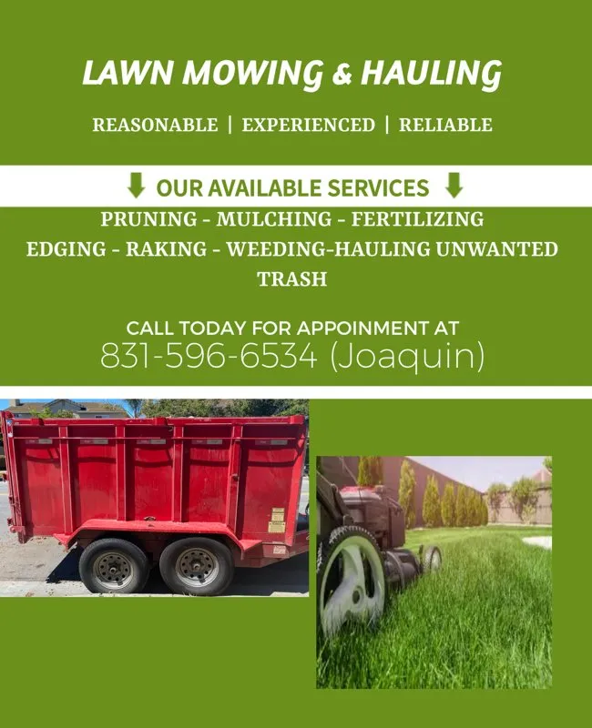 Top-rated lawn care service for outdoor upgrades across Marina, CA - Mj Hauling