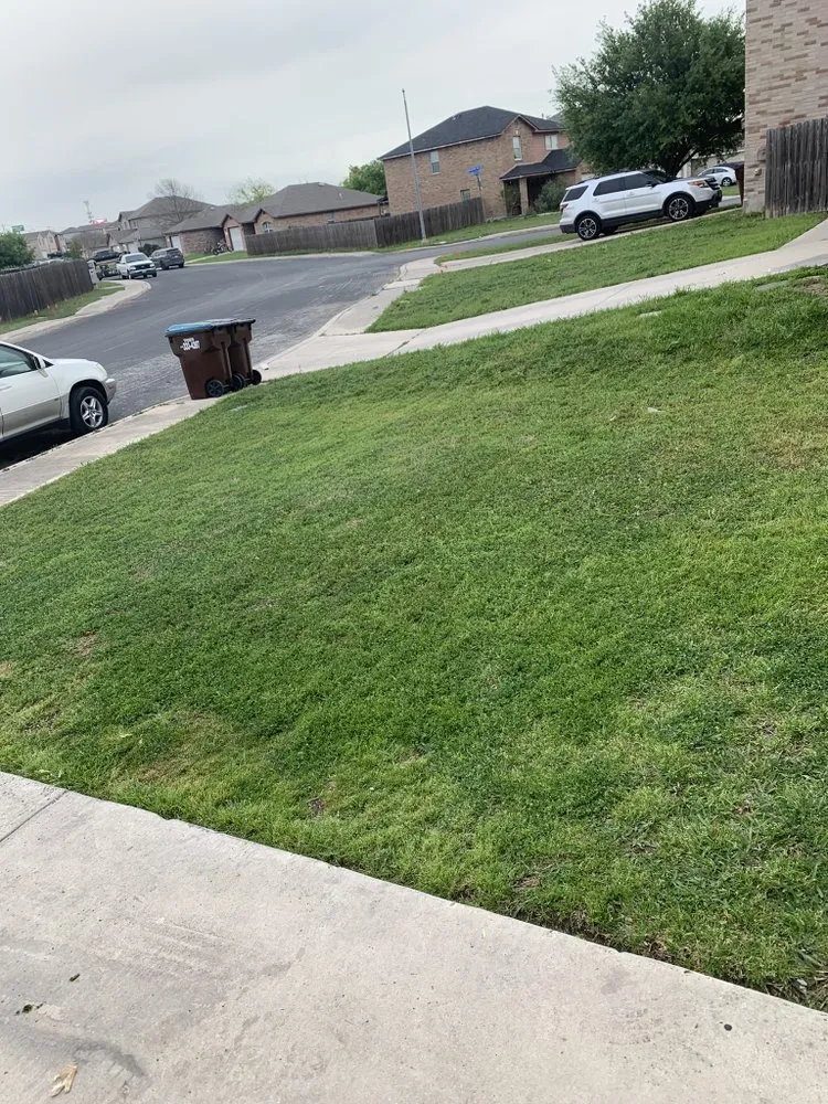 Top-rated landscape design for outdoor upgrades in Converse, TX by MJ House Cleaning & Lawn Care Service