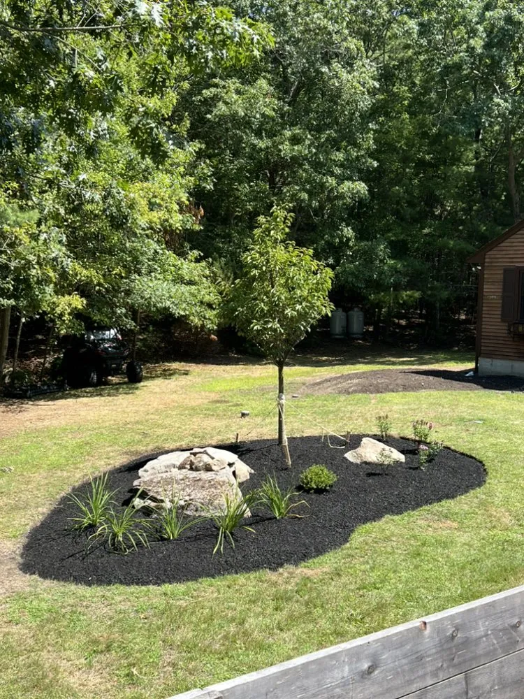 Expert yard maintenance near you across Dartmouth, MA - M&J Land Technicians