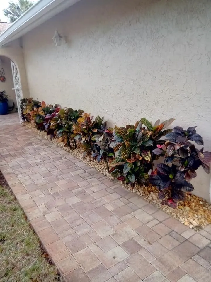 Expert landscape installation for residential properties across Bradenton, FL - MJ Landscape and Maintenance