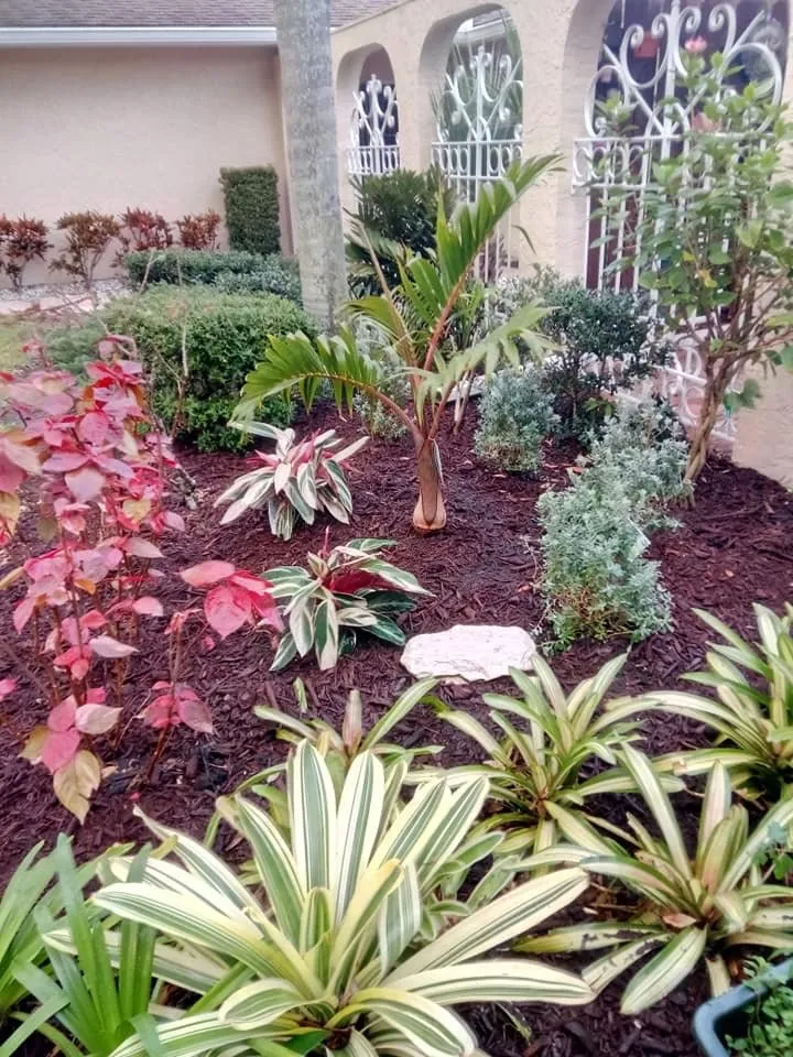 Reliable lawn care service for residential properties across Bradenton, FL - MJ Landscape and Maintenance