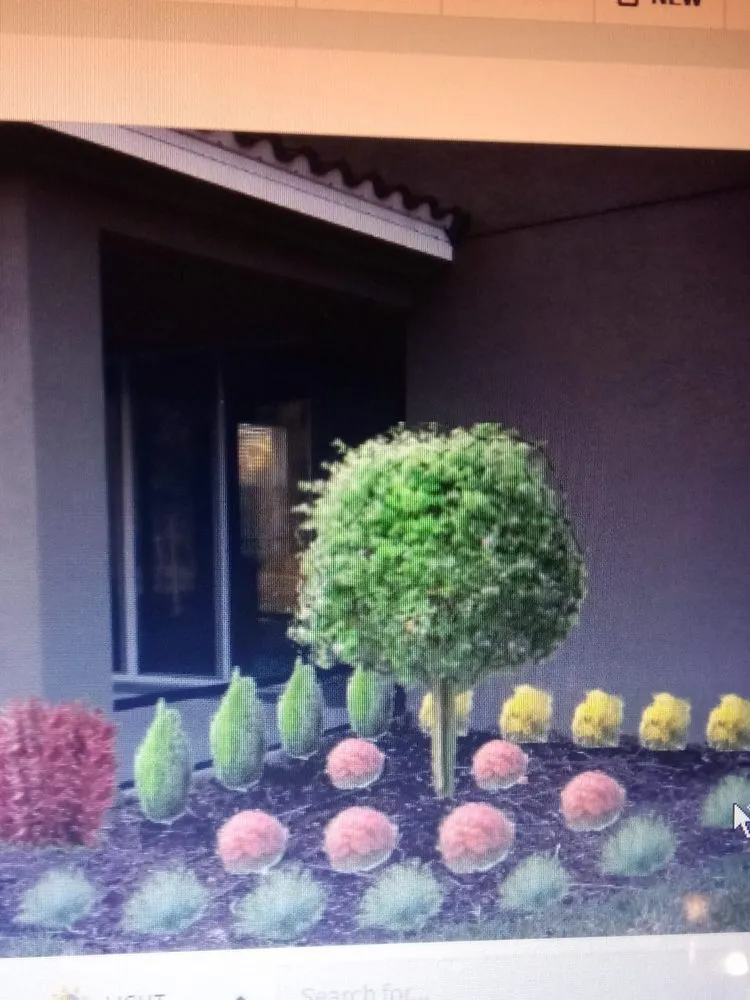 Custom yard maintenance with custom design in Bradenton, FL by MJ Landscape and Maintenance