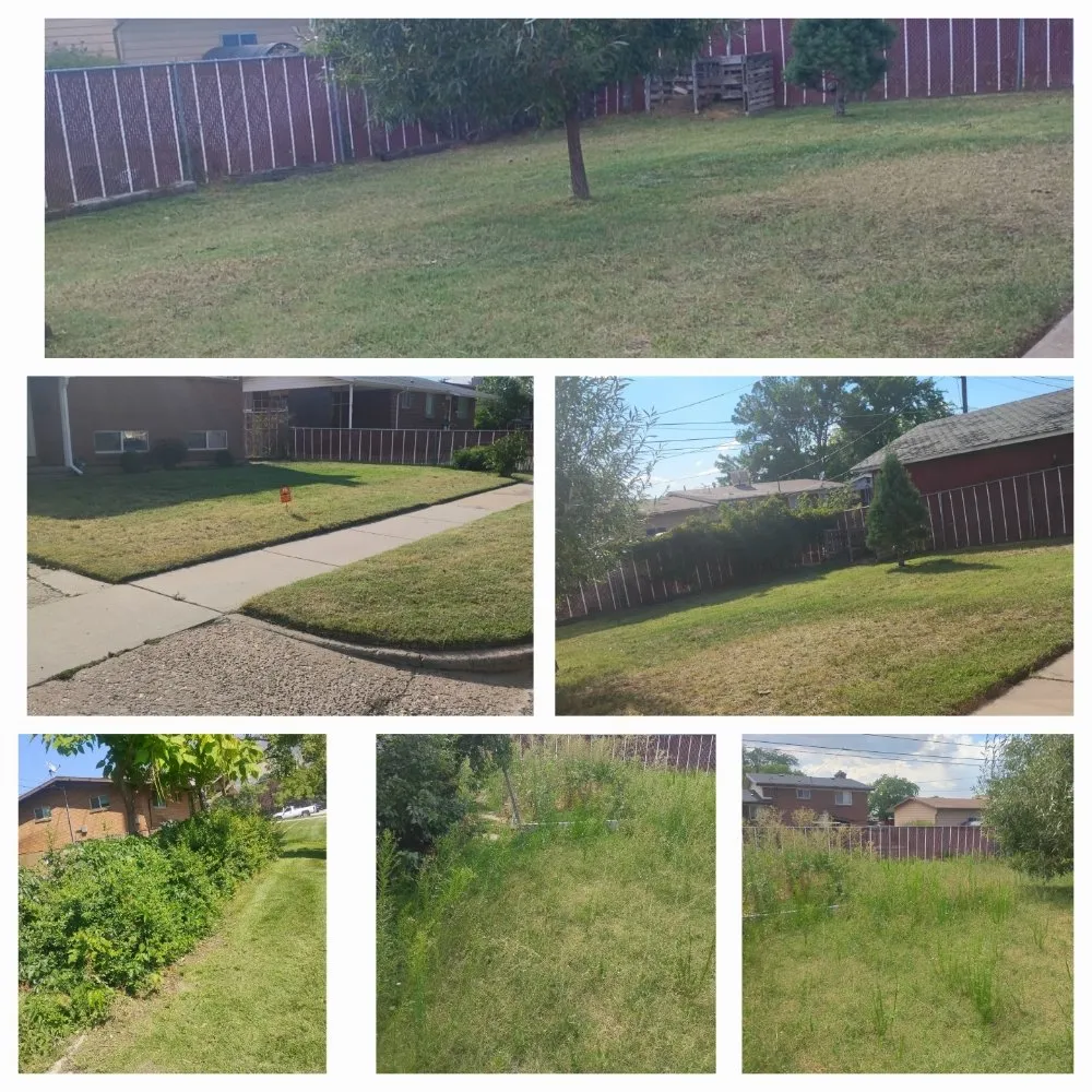 Professional landscaping services in Kaysville, UT - MJ Landscape and Maintenance