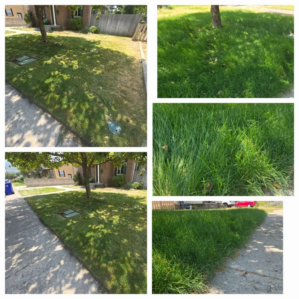 Reliable yard maintenance experts serving Kaysville, UT - MJ Landscape and Maintenance