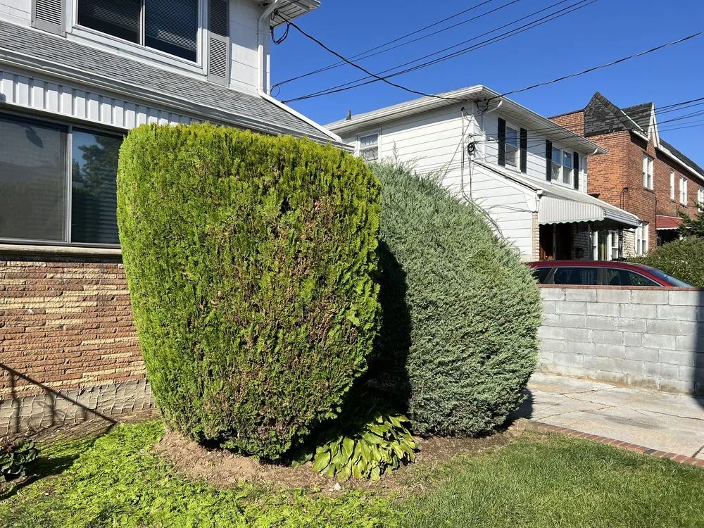 Local lawn mowing service experts serving Queens, NY - M&J Landscape