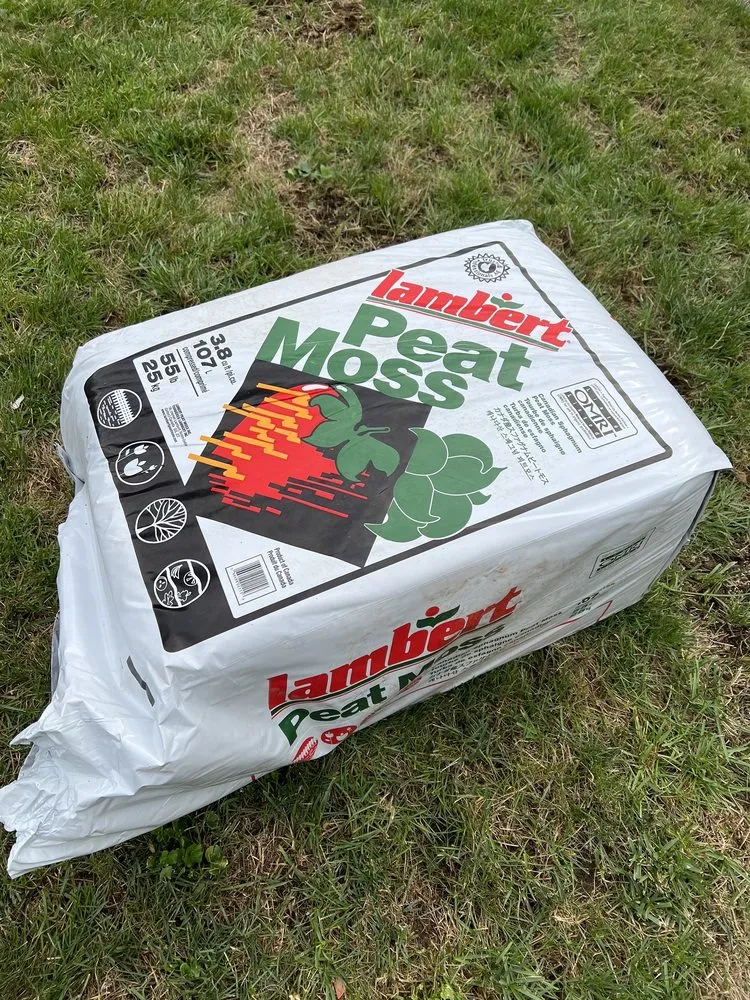 Trusted yard cleanup service for year-round maintenance in Queens, NY by M&J Landscape