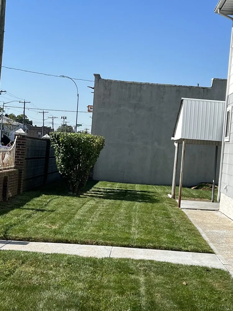 Reliable yard cleanup service for residential properties across Queens, NY - M&J Landscape