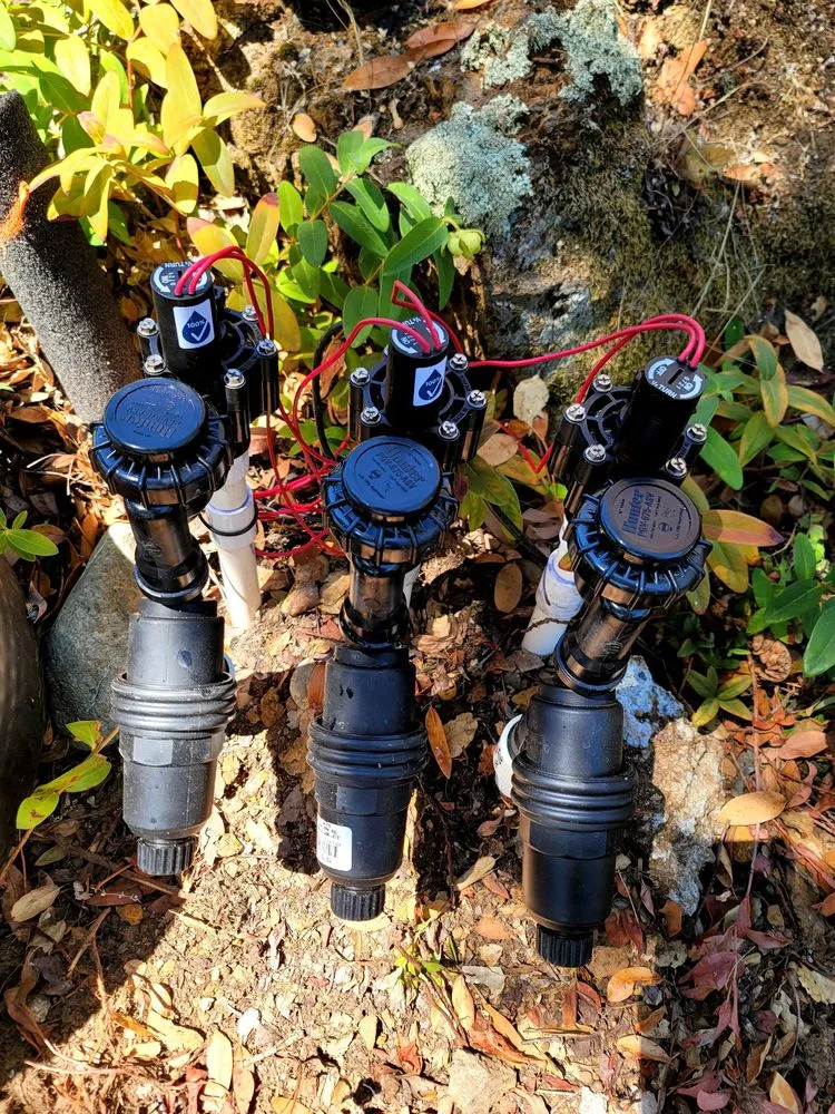 Local landscape installation experts serving San Rafael, CA - MJ Landscape