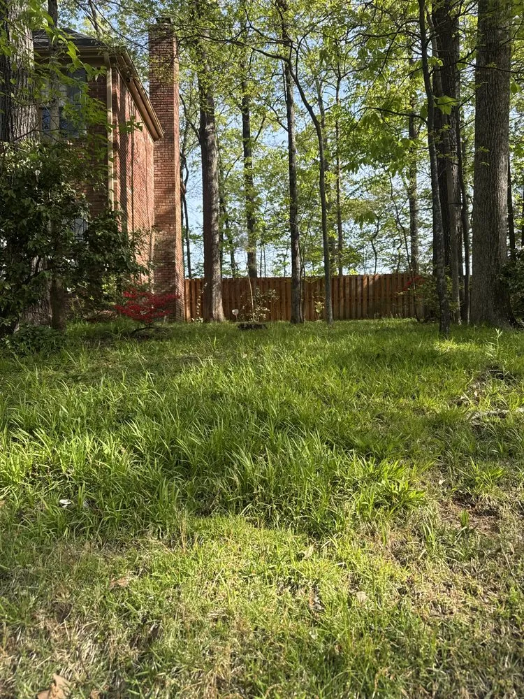 Professional garden landscaping in Germantown, TN - MJ Landscape Solution