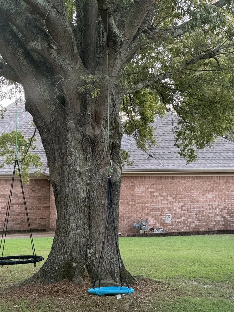 Expert lawn care service in Germantown, TN - MJ Landscape Solution