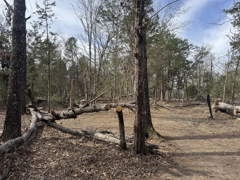 Affordable lawn mowing service in Germantown, TN by MJ Landscape Solution