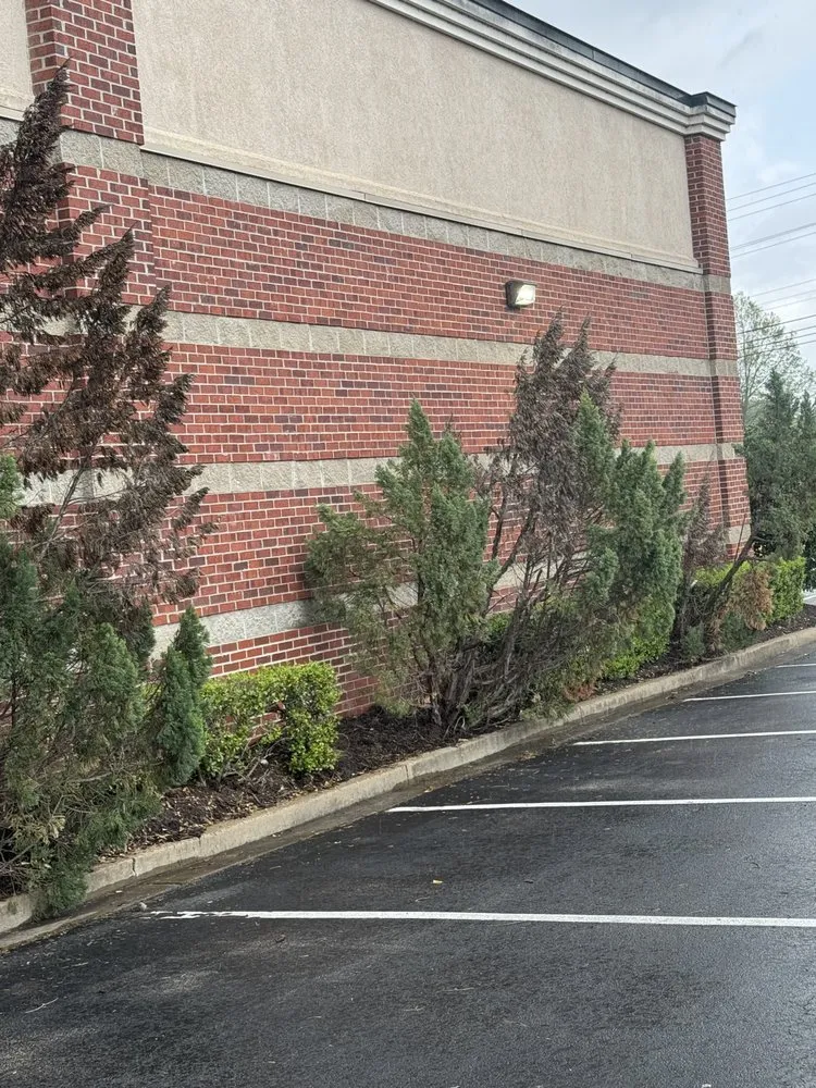 Reliable lawn mowing service in Germantown, TN - MJ Landscape Solution