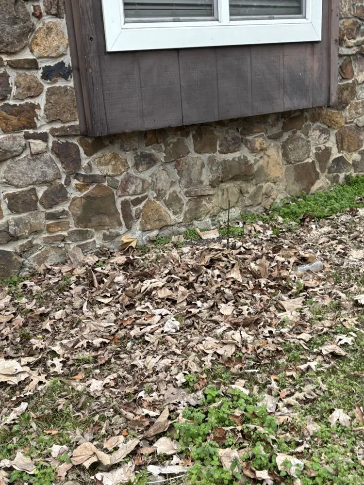 Affordable landscaping services for beautiful yards in Germantown, TN by MJ Landscape Solution