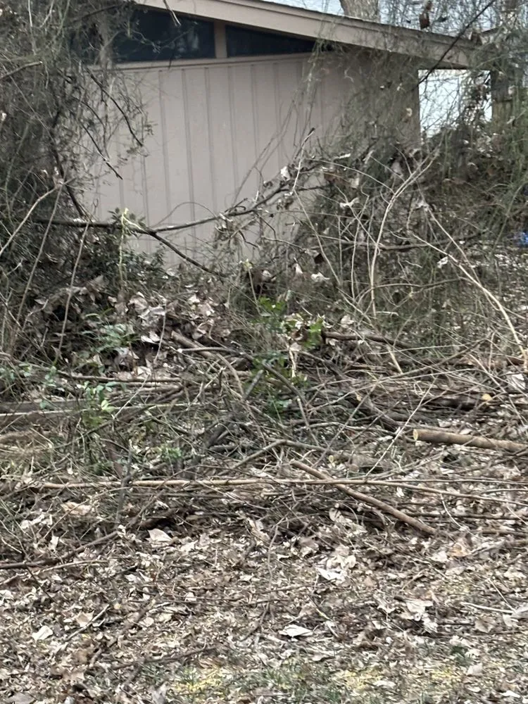 Local yard cleanup service for beautiful yards in Germantown, TN by MJ Landscape Solution