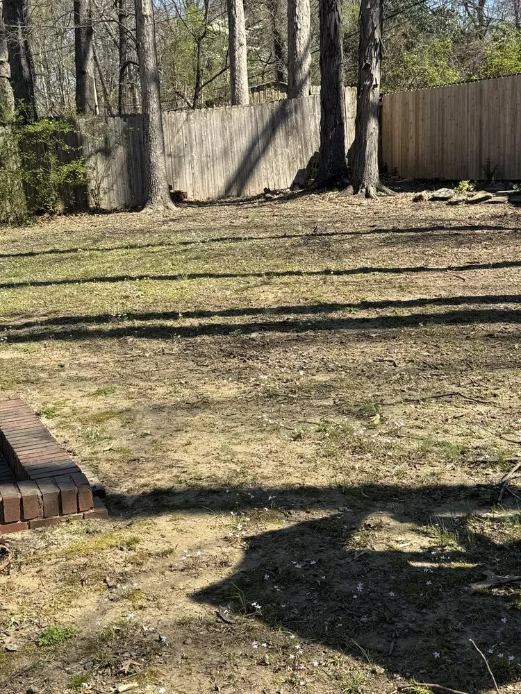 Trusted outdoor landscaping for beautiful yards across Germantown, TN - MJ Landscape Solution