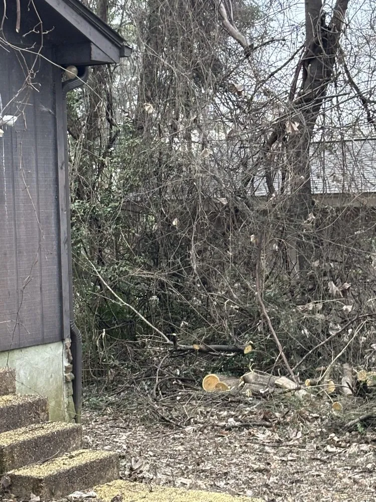 Local residential landscaping in Germantown, TN by MJ Landscape Solution