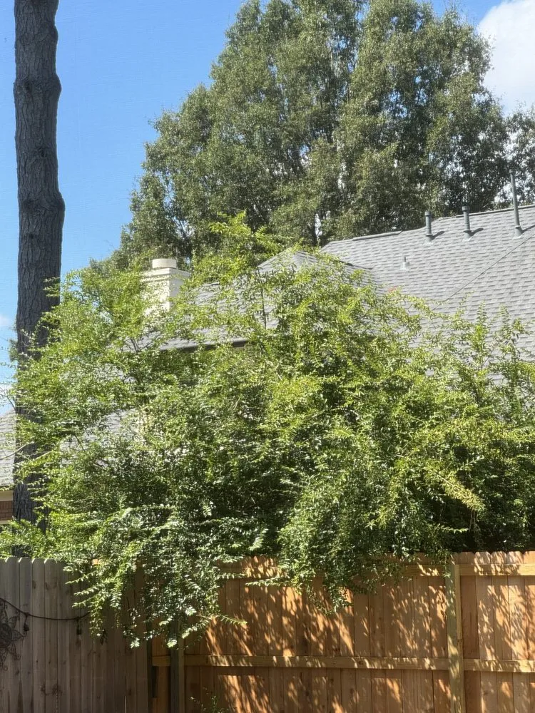 Trusted landscaping services for outdoor upgrades across Germantown, TN - MJ Landscape Solution