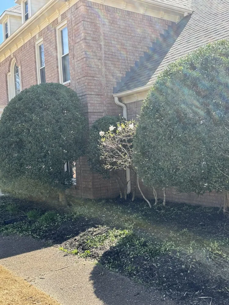 Expert yard maintenance in Germantown, TN by MJ Landscape Solution