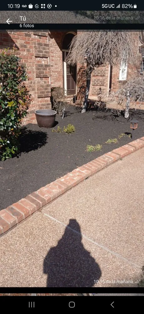 Affordable lawn care service in Germantown, TN by MJ Landscape Solution