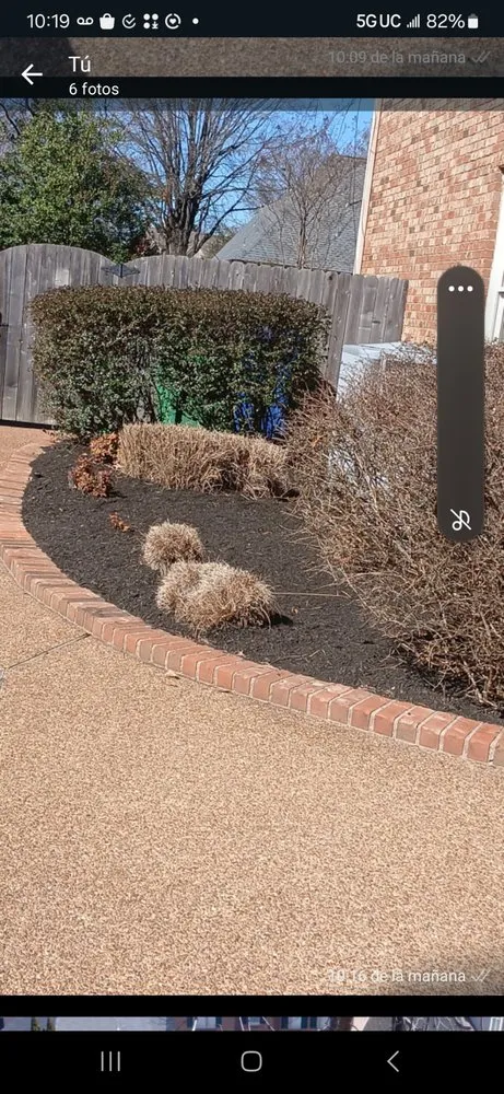 Expert lawn care service in Germantown, TN - MJ Landscape Solution