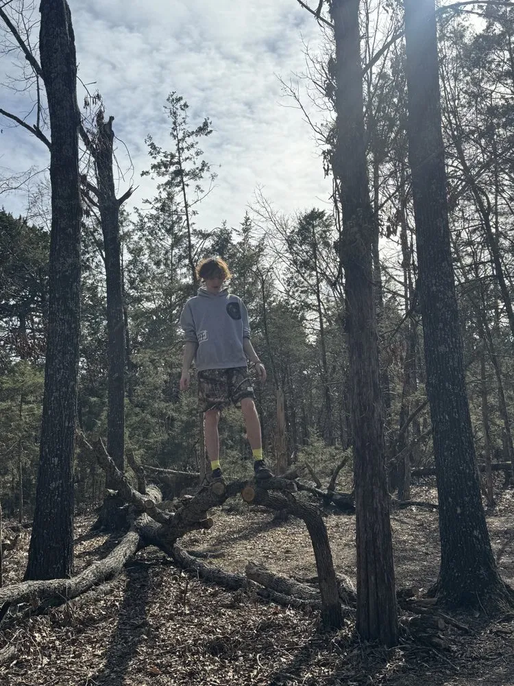 Top-rated yard maintenance experts serving Germantown, TN - MJ Landscape Solution