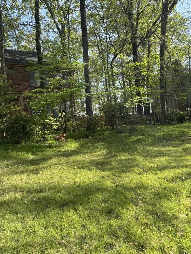 Top-rated lawn mowing service in Germantown, TN by MJ Landscape Solution