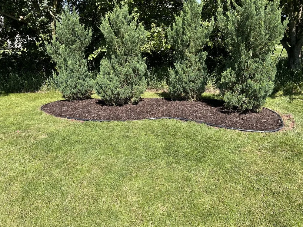 Custom lawn mowing service in De Pere, WI - MJ Landscaping & JunkRemoval