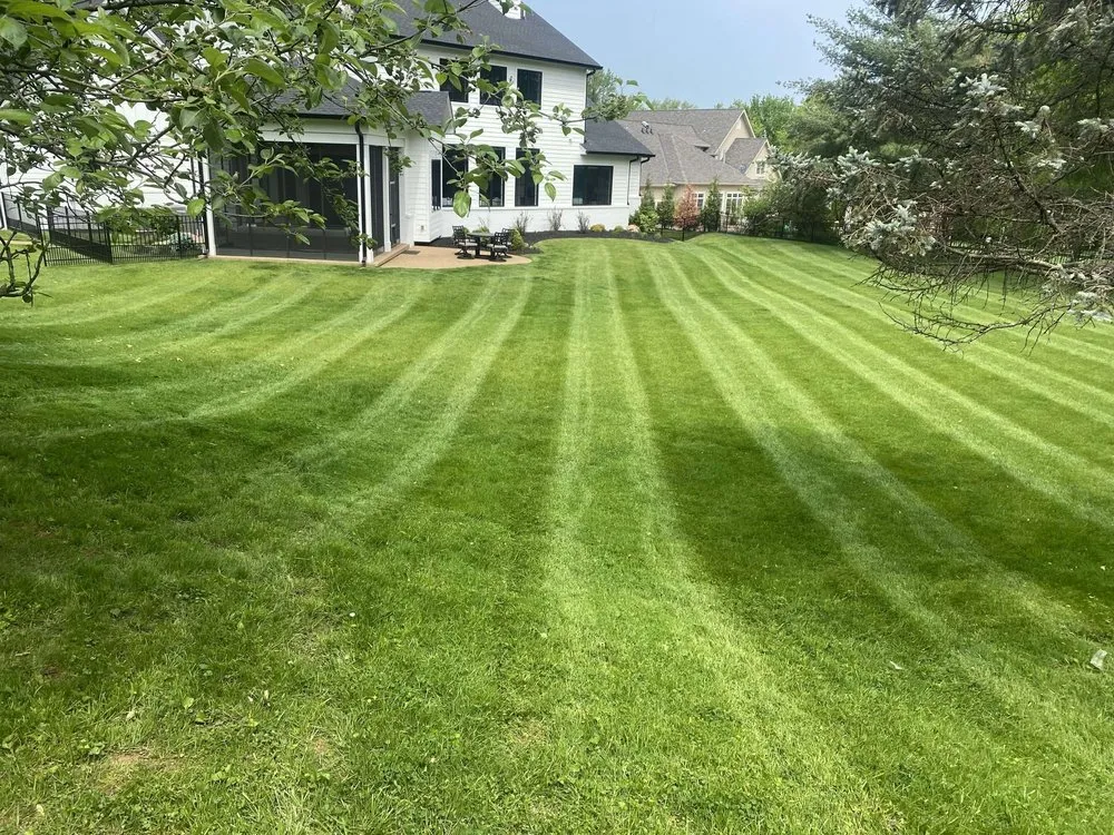 Professional yard maintenance for beautiful yards in De Pere, WI by MJ Landscaping & JunkRemoval