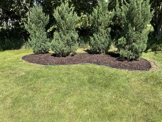 MJ Landscaping & JunkRemoval Logo