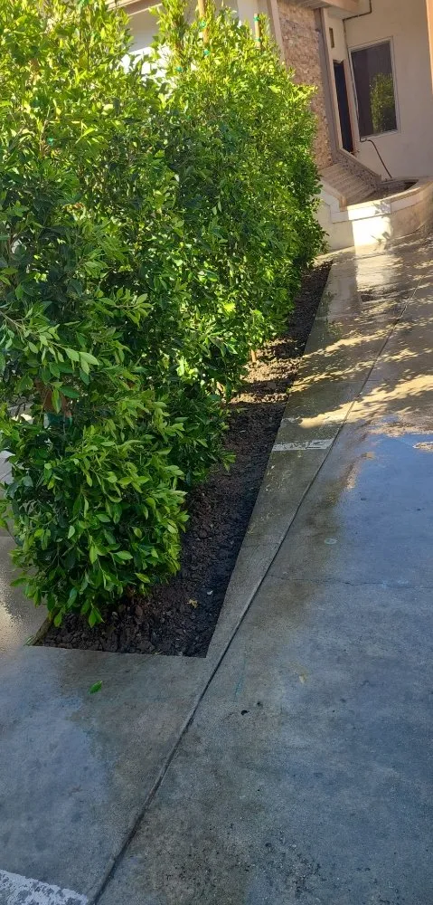 Top-rated landscaping services in Northridge, CA - M&j Landscaping And Turf