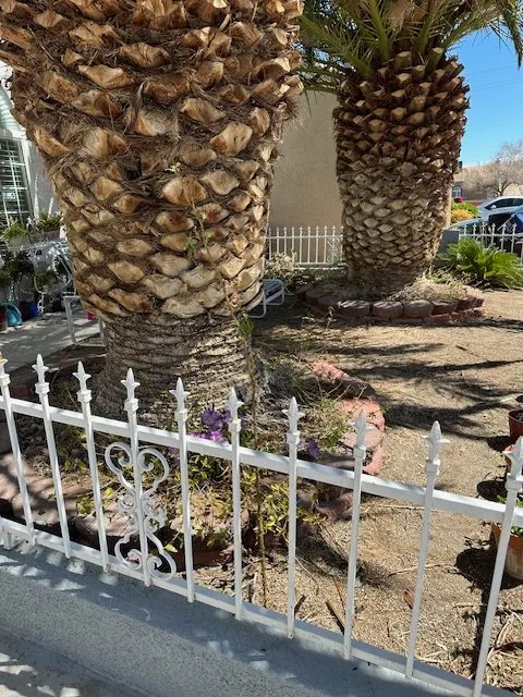 Top-rated residential landscaping for homes in Northridge, CA by M&j Landscaping And Turf