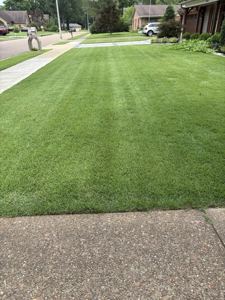 Custom landscape design in Cordova, TN - M&J Landscaping