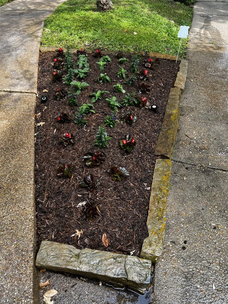 Affordable landscaping services in Houston, TX - MJ Landscaping
