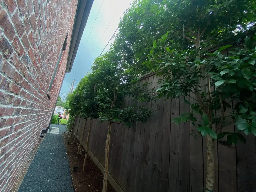 Affordable landscape installation experts serving Houston, TX - MJ Landscaping