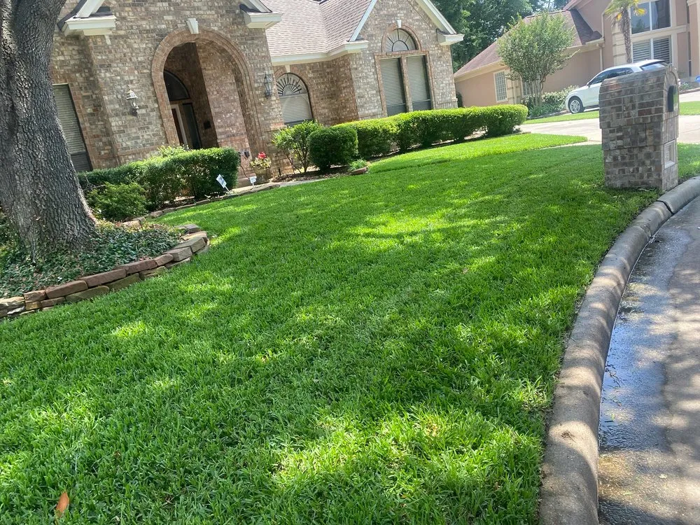 Affordable yard cleanup service for year-round maintenance in Houston, TX by MJ Landscaping